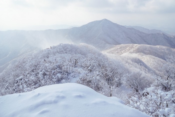 6.광양시, 환상적인 겨울 백운산 눈꽃여행 떠나 볼까-관광과 3.jpg