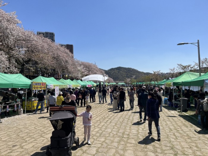 3.지난 2일 열린 용당뚝방길 벚꽃축제에 많은 관람객들이 다녀갔다.JPG