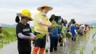 '순천만 흑두루미 우리가 지킨다.' 순천인안초등학교 먹이 생산 프로젝트
