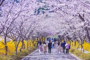 여수 승월마을 ‘봄 꽃 여행, 여수 봄 꽃으로 물들다’ 개최