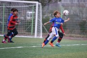 순천시, 2024 순천만국가정원배 전국유소년축구대회 개최