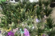 광양시 중마동, 축하 화분으로 위기가정에 반려식물 보급 추진